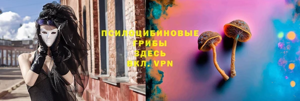 ПСИЛОЦИБИНОВЫЕ ГРИБЫ Баксан
