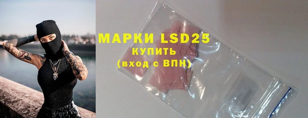 ПСИЛОЦИБИНОВЫЕ ГРИБЫ Баксан