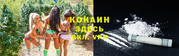 ПСИЛОЦИБИНОВЫЕ ГРИБЫ Баксан