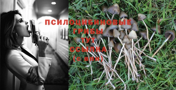 спиды Балабаново